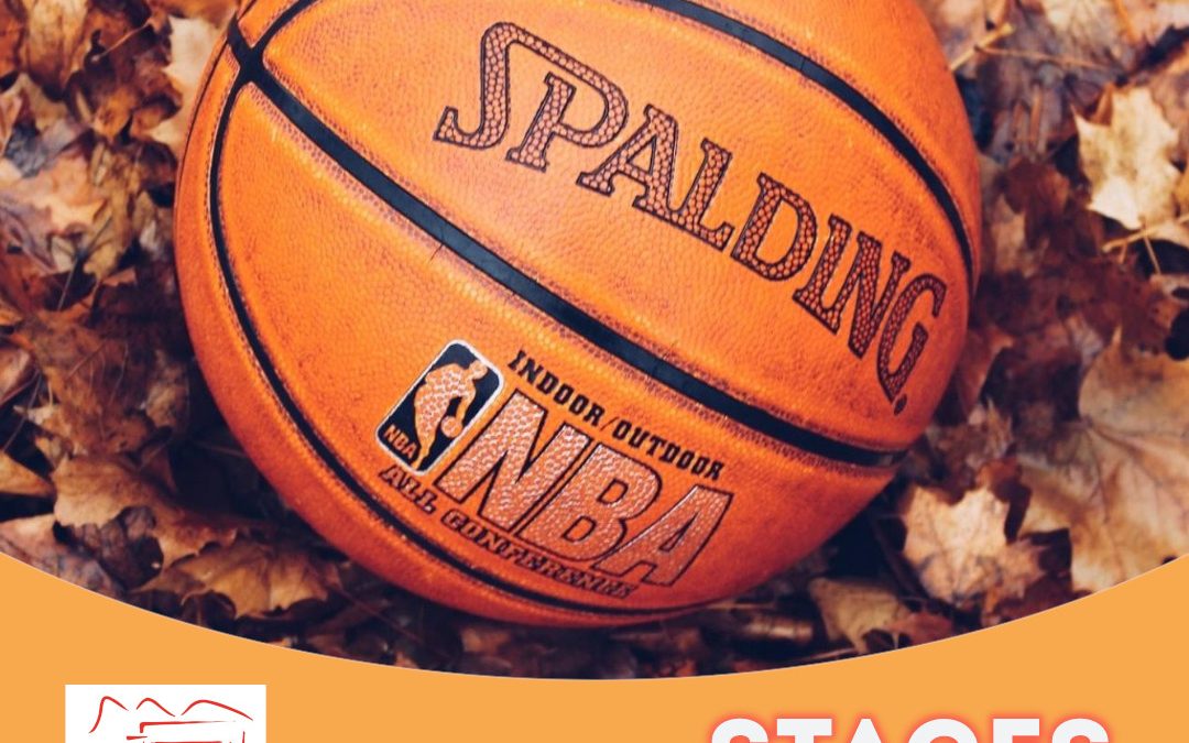 Stages de la Toussaint